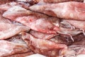 Close up of fresh ancooked squids. Top view. Seafood concept Royalty Free Stock Photo