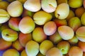 Close up of fresh apricots as background Royalty Free Stock Photo