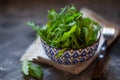 Close up of fresh arugula leaves. Ruccola salad in bowl over dark background Royalty Free Stock Photo
