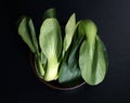 close up Fresh baby green bok choy in bowl on the black Royalty Free Stock Photo