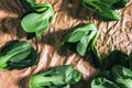 close up Fresh baby green bok choy on the crumpled paper , overhead or top view shot Royalty Free Stock Photo