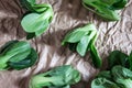 close up Fresh baby green bok choy on the crumpled paper , overhead or top view shot Royalty Free Stock Photo