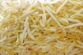 Fresh bean sprout raw food in clear plastic packing Royalty Free Stock Photo