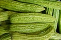 Close up of fresh bitter melon, selective focus.Heap of chinese bitter melon fruit Momordica charantia Royalty Free Stock Photo