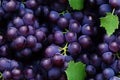 Close up of fresh black grapes , top view, seamless pattern. Generative Ai Royalty Free Stock Photo