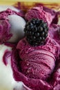 Fresh,black mulberry on rolled sweet ice cream with metal scoop Royalty Free Stock Photo