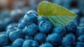 Close-up of fresh blueberries Royalty Free Stock Photo