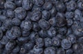 Close-up of fresh blueberries. fruit wallaper. fresh berries Royalty Free Stock Photo