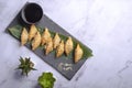 Close up fresh boiled dumplings with hot steams on stone plate. Chinese food on rustic old vintage wooden background.