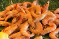 Close up of fresh boiled tiger shrimp Royalty Free Stock Photo