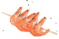 Close up of fresh boiled tiger shrimp Royalty Free Stock Photo