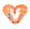 Close up of fresh boiled tiger shrimp Royalty Free Stock Photo