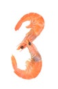 Close up of fresh boiled tiger shrimp Royalty Free Stock Photo