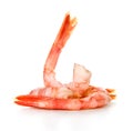 Close up of fresh boiled tiger shrimp Royalty Free Stock Photo
