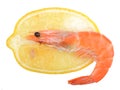 Close up of fresh boiled tiger shrimp and a lemon Royalty Free Stock Photo