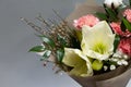 Close-up fresh bouquet of hippeastrum, allium, carnation, ruscus, genista, cotton on a gray background, selective focus