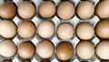 Close up of fresh brown chicken eggs in a paper egg tray, top view. Royalty Free Stock Photo