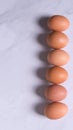 Close-up of fresh brown eggs ,in one line,top view,copy space,background Royalty Free Stock Photo