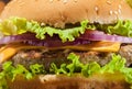 Close up of fresh burger on wooden background