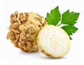 Close up of a fresh celeriac root with leaves and a sliced section Royalty Free Stock Photo
