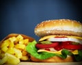 Close up of a fresh cheesburger and french fries Royalty Free Stock Photo