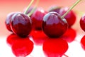 Close up of fresh cherry berries photographed in daylight