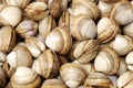 Close up of fresh Clams Royalty Free Stock Photo