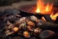 close-up of fresh clams next to campfire