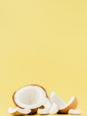 Close up fresh coconut pieces isolated on a yellow background, tropical fruit concept, flat lay, pop art, copy space Royalty Free Stock Photo