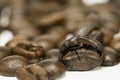 Close up fresh coffee beans and isolated on white background , fresh material from market, healthy drink and international drink Royalty Free Stock Photo