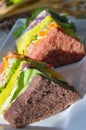 Close up Fresh Colorful Sandwich Royalty Free Stock Photo