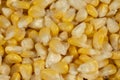 Close-Up Of Fresh Corn Kernels Texture From Above. Royalty Free Stock Photo