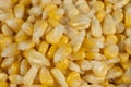Close-Up Of Fresh Corn Kernels Texture From Above. Royalty Free Stock Photo
