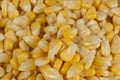 Close-Up Of Fresh Corn Kernels Texture From Above. Royalty Free Stock Photo