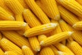 Close up of fresh corn , top view, seamless pattern. Generative Ai