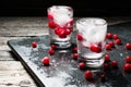 Close-up with fresh cranberries, glass of Russian vodka and ice cubes on black background water drops