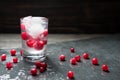 Close-up with fresh cranberries, glass of Russian vodka and ice cubes on black background water drops