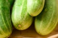 Close up of fresh cucumber in basket, Organic vegetables Royalty Free Stock Photo