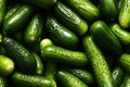 Close up of fresh cucumbers , top view, seamless pattern. Generative Ai