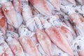 Close up of fresh cuttlefish on ice Royalty Free Stock Photo