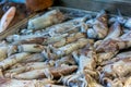 Close Up of Fresh Cuttlefish at the Italian Market Royalty Free Stock Photo