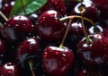 Close up of fresh dark sweet cherries fruit.Macro.AI Generative Royalty Free Stock Photo