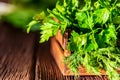 Fresh dill and parsley in wooden box close Royalty Free Stock Photo