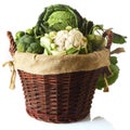 Close up Fresh Farm Vegetables in a Basket Royalty Free Stock Photo