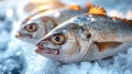 Close-up fresh fish on ice on the counter of market