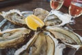 Close-up of fresh french oysters on the table with two glasses of white wine Royalty Free Stock Photo