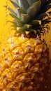 Close up of fresh fruit pineapple in yellow juice, with air bubbles Royalty Free Stock Photo