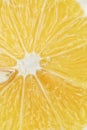Close-up Fresh Fruit A Slice Of Yellow Lemon Peel Juice White Isolated Background Healthy Food Balanced Diet And Life