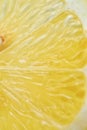 Close-up Fresh Fruit A Slice Of Lemon Peel Juice White Isolated Background Healthy Food Balanced Diet And Life