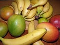 Close Up Fresh fruits. Assorted fruits colorful background. - Image Royalty Free Stock Photo